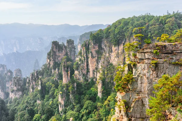Piliers Grès Quartz Naturel Des Monts Tianzi Monts Avatar Dans — Photo