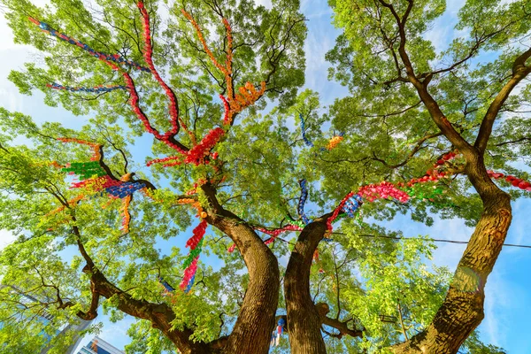 Seoul South Korea October 2017 Colorful Bottom View Green Tree — Stock Photo, Image