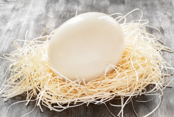 Ostrich egg in a nest — Stock Photo, Image