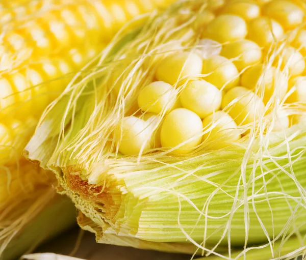 Dos mechones de maíz —  Fotos de Stock