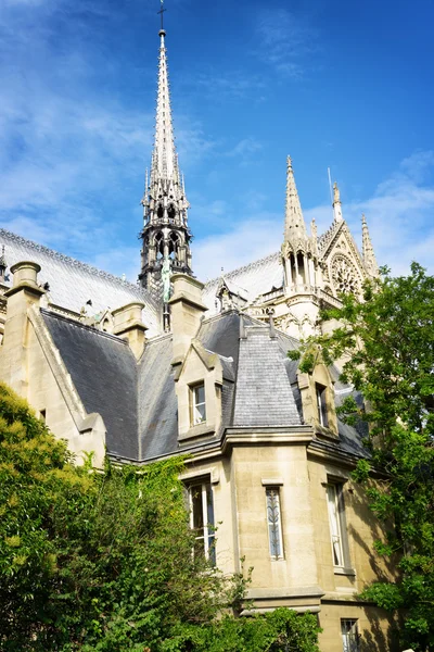 Ο καθεδρικός ναός του notre dame de paris — Φωτογραφία Αρχείου