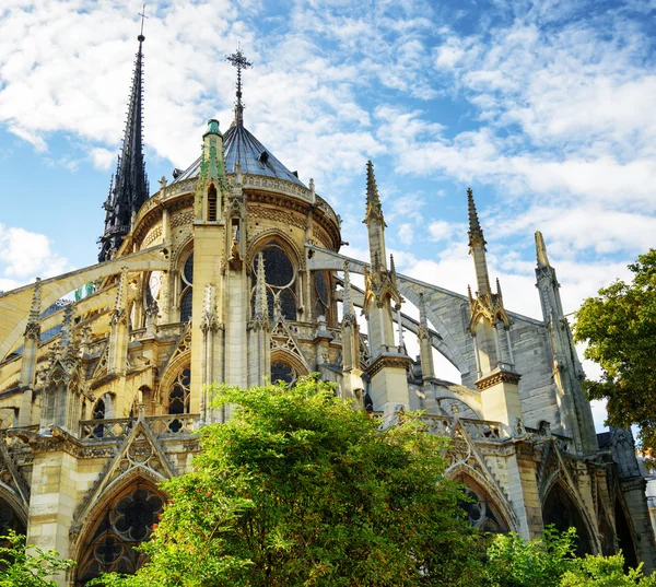 La catedral de notre dame de paris — Foto de Stock