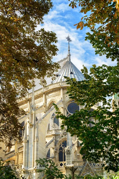 Ο καθεδρικός ναός του notre dame de paris — Φωτογραφία Αρχείου