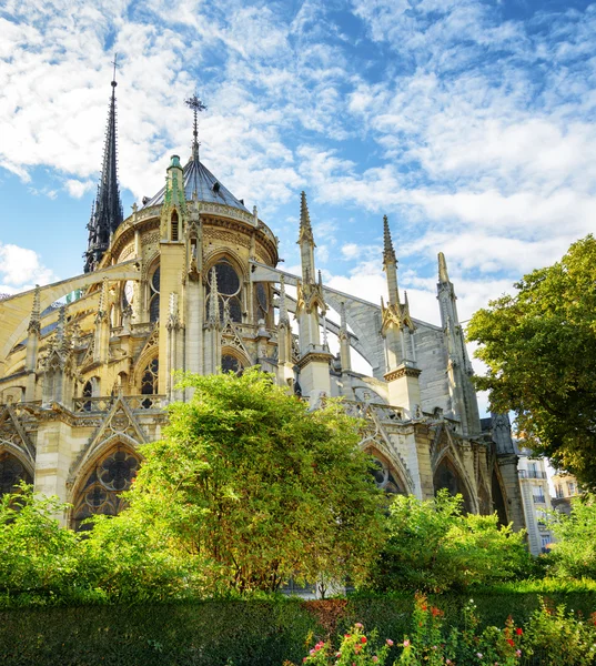 Domkyrkan Notre Dame de Paris — Stockfoto