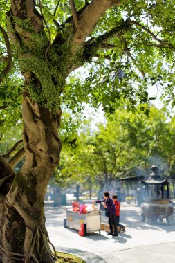 Budist tapınağı, Hong Kong Po Lin manastırda dua