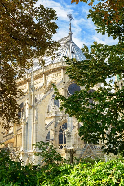 Die Kathedrale Notre Dame de Paris — Stockfoto