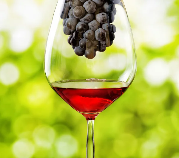 Glas Rotwein und Trauben auf Naturhintergrund — Stockfoto