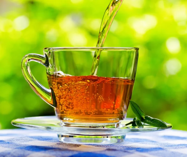 Fresh aromatic tea pouring into glass cup — Stock Photo, Image