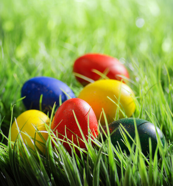 Colorful Easter eggs on green grass in the morning