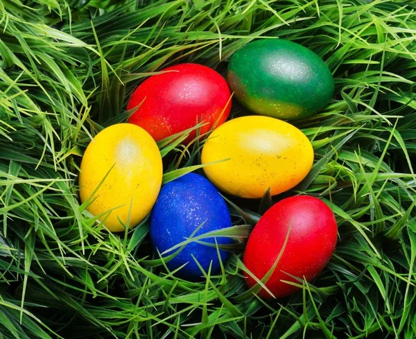 Colorful Easter eggs on green grass. Top view — Stock Photo, Image