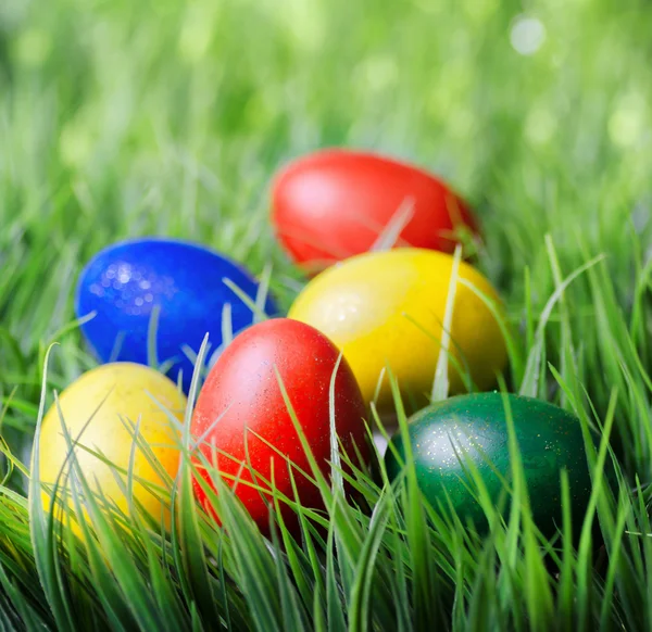 Colorful Easter eggs on green grass — Stock Photo, Image