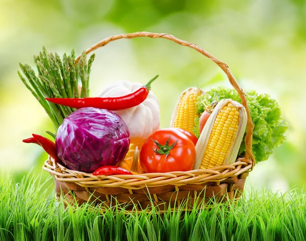 Légumes frais dans le panier sur l'herbe verte et sur la nature retour — Photo