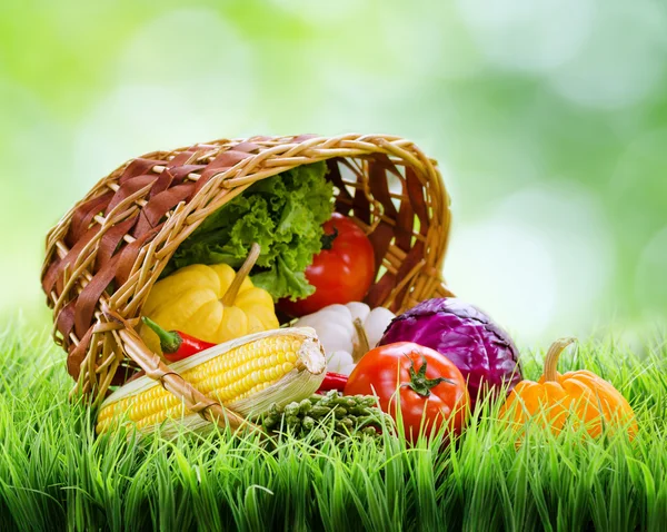 Verdure fresche che cadono da un cesto rovesciato su gras verde — Foto Stock