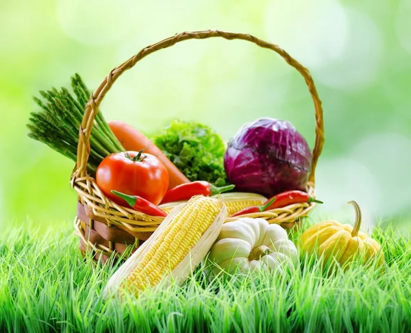 Frisches Gemüse im Korb auf grünem Gras. gesunde Öko-Lebensmittel — Stockfoto