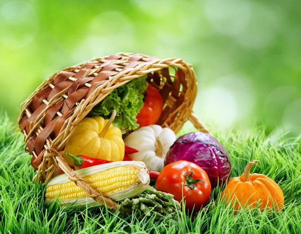 Fresh vegetables falling out of a basket on green grass. Product — Stock Photo, Image