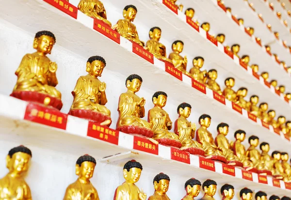 Different small golden Buddha statues inside the temple of the T — Stock Photo, Image