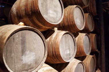 Porto şarabı o Portekiz yaşlanma üzüm bağları Douro Vadisi üzerinden