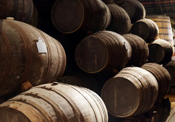 Porto vino dai vigneti Valle del Douro in Portogallo maturazione in o — Foto Stock