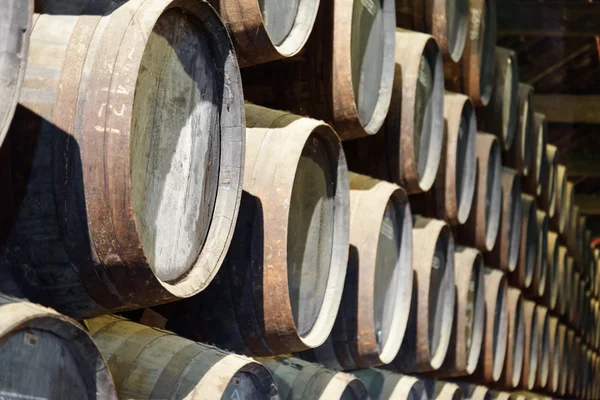Numerous oak barrels stacked in the old cellar with aging Port w — Stock Photo, Image