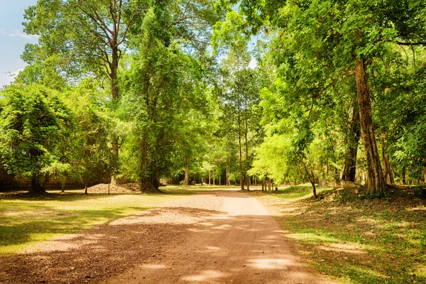 Camino de tierra a través de la selva tropical en la antigua Angkor Wat, Camboya —  Fotos de Stock