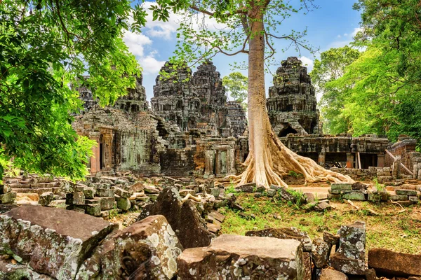 Ruins of Ta Prohm temple nestled amongst rainforest in Angkor — Stok fotoğraf