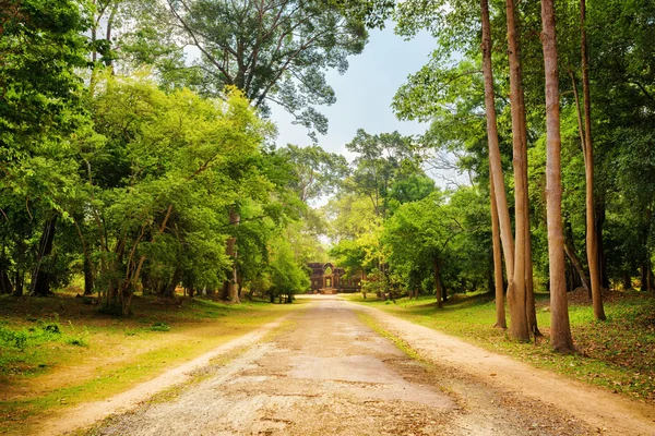 Road through rainforest in Angkor Wat. Siem Reap, Cambodia — Stockfoto