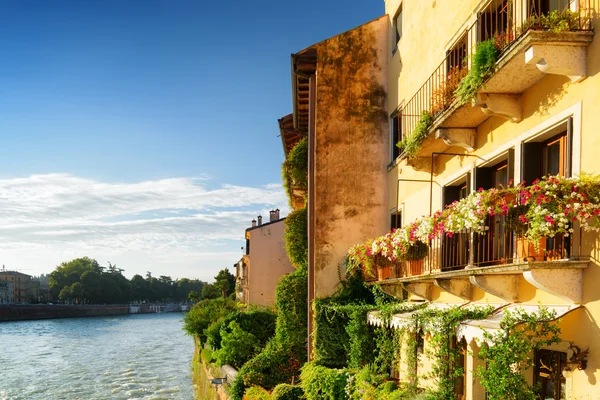 Old houses on waterfront of the Adige River in Verona, Italy — Stock Fotó
