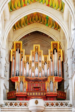 Boru organ