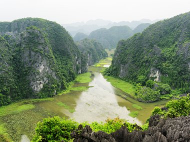 Top view of rice fields and the Ngo Dong River, Vietnam