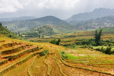 View of rice terraces at highlands of Sa Pa District, Vietnam