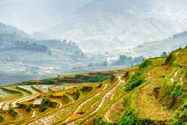 View of rice terraces filled with water at highlands