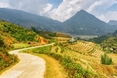 Bending road among rice terraces at highlands of Sa Pa, Vietnam