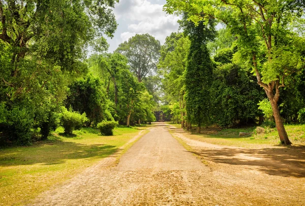 Droga przez las deszczowy w starożytnych Angkor Wat, Kambodża — Zdjęcie stockowe