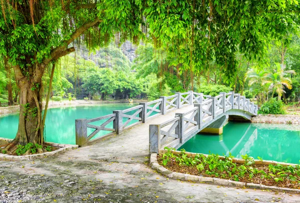 Bridge over canal with azure water in tropical garden, Vietnam — Stock fotografie