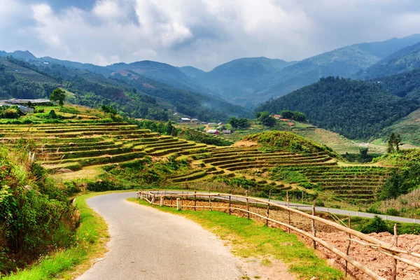 Bending road among rice terraces in mountains of Sa Pa, Vietnam — Stock Photo, Image