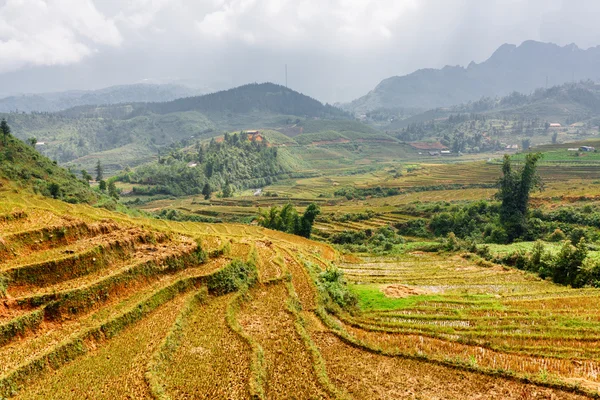 Vista de terrazas de arroz en las tierras altas del distrito de Sa Pa, Vietnam —  Fotos de Stock