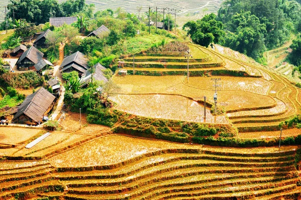 Vistas panorámicas de terrazas de arroz llenas de agua y pueblo —  Fotos de Stock