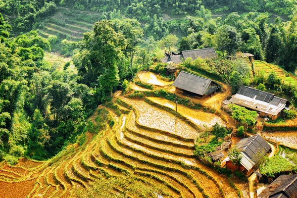 Casas de pueblo y terrazas de arroz entre bosques en Vietnam —  Fotos de Stock