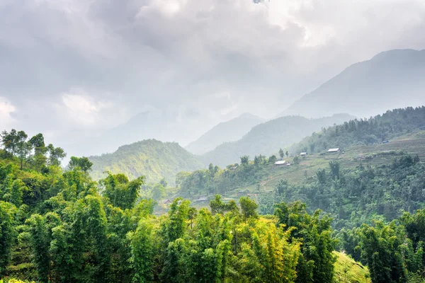 Vista panorâmica das florestas nas terras altas do distrito de Sapa, Vietnã — Fotografia de Stock