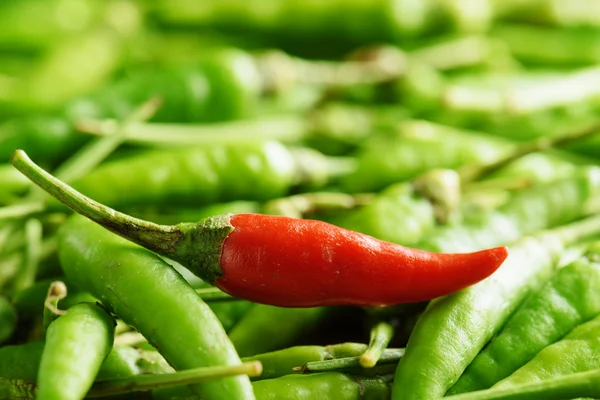 Closeup view of one red hot chili pepper among a lot of green — Stock Photo, Image