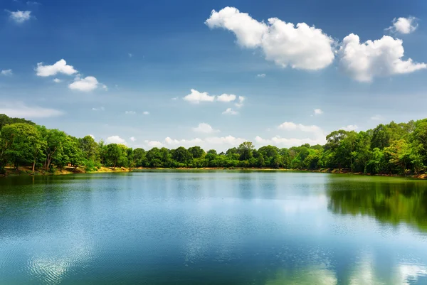 Gyönyörű tó rainforest Kambodzsában fészkelő — Stock Fotó