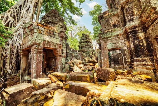Trees growing among ruins of Preah Khan temple in ancient Angkor — ストック写真