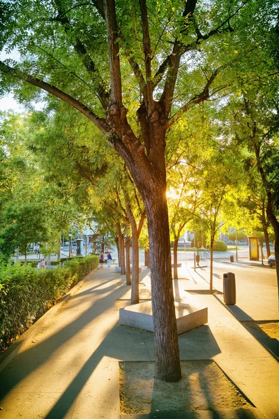 Street of Madrid in rays of evening sun. Calle de Felipe IV — 图库照片