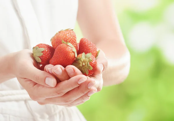 Ripe red juicy strawberries in hands of young woman — Stock Photo, Image