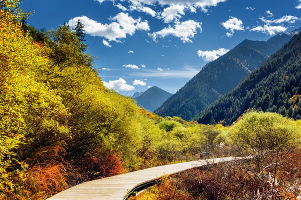 Holzsteg durch den Herbstwald zwischen bewaldeten Bergen — Stockfoto