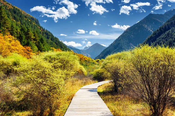 秋天的树林，在阳光明媚的日子的山间跨浮桥 — 图库照片