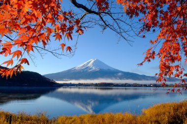Mt.Fuji and autumn foliage at Lake Kawaguchi clipart