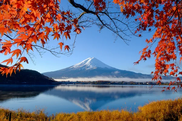 Göl Kawaguchi, Mt.Fuji ve sonbahar yaprakları