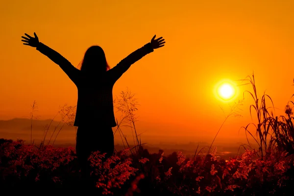 Femme heureuse libre profitant du coucher de soleil nature. Liberté, bonheur — Photo