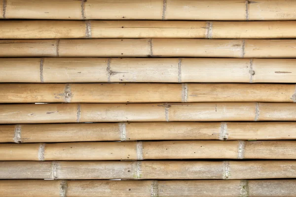 Bamboo fence background — Stock Photo, Image